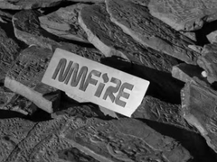 Консультанты из Японии и Индонезии посещают NMFIRE