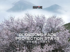 NMFIRE ОТСУТСТВИЕ БОЛЬШЕ ОГНЯ